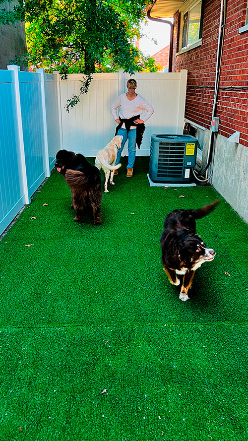 About Holly Hills Pet Hotel